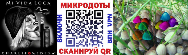 наркотики Щёлково Галлюциногенные грибы мухоморы